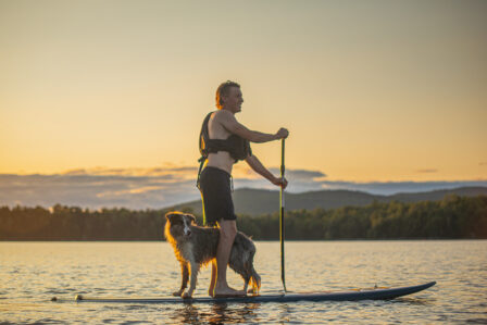 Paddleboard Poisson Blanc