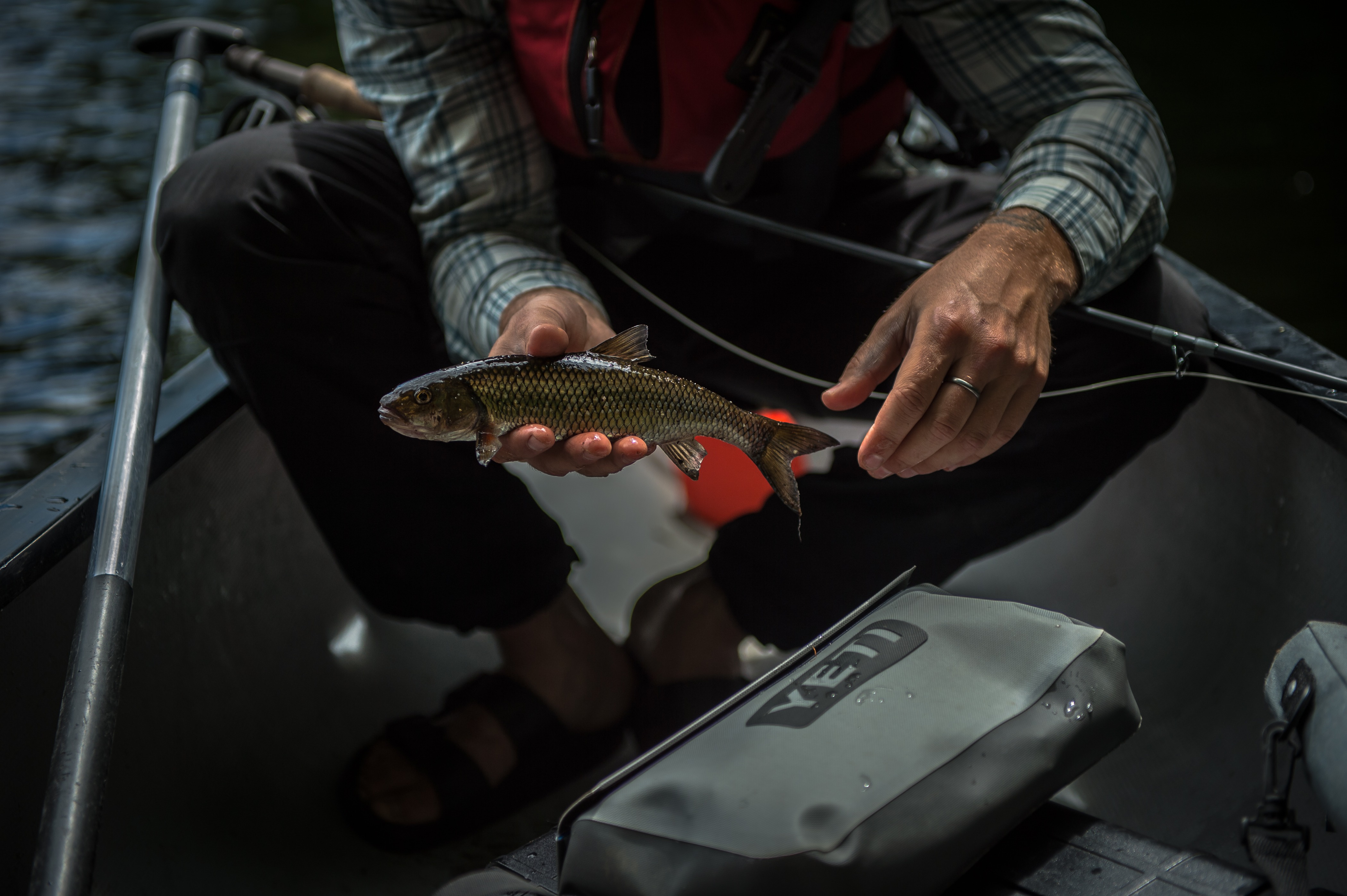 Hunting and Fishing near Québec City