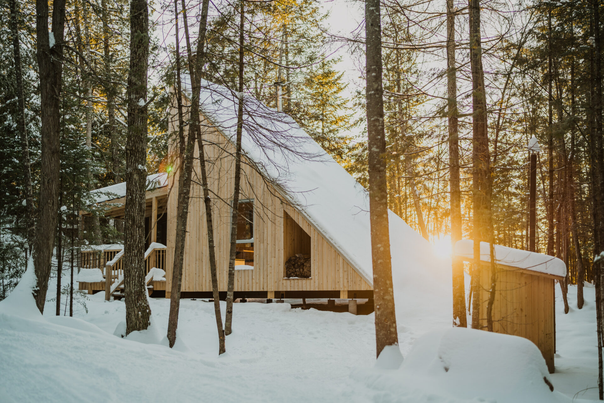 Microrefuge Pic-Flamboyant Hiver Parc Poisson Blanc