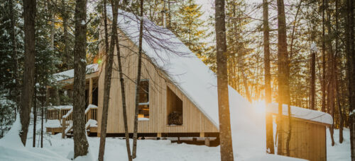 Microrefuge Pic-Flamboyant Hiver Parc Poisson Blanc